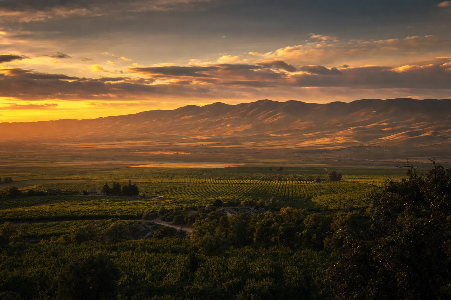 Central Valley farmland near Bakersfield with the Tehachapi foothills beyond at sunset.