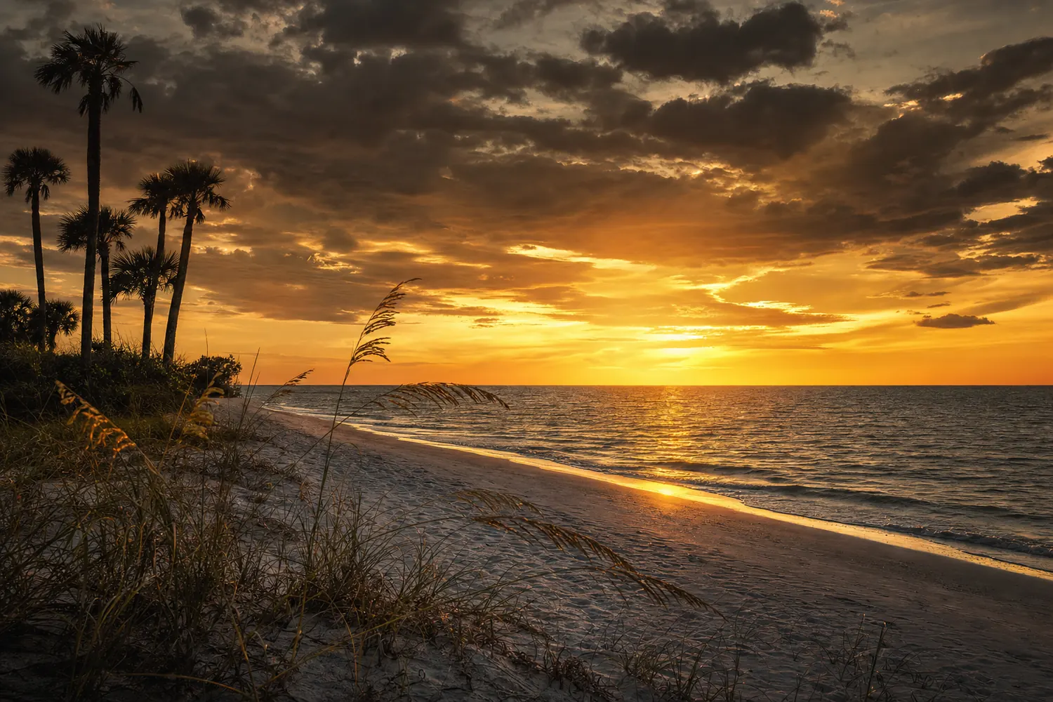 The Gulf of Mexico at Naples Florida at sunset, sea oats on white sand, palms silhouetted.