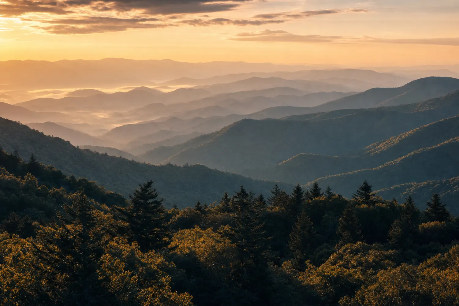 The layered blue ridges of the North Carolina mountains receding into morning mist.