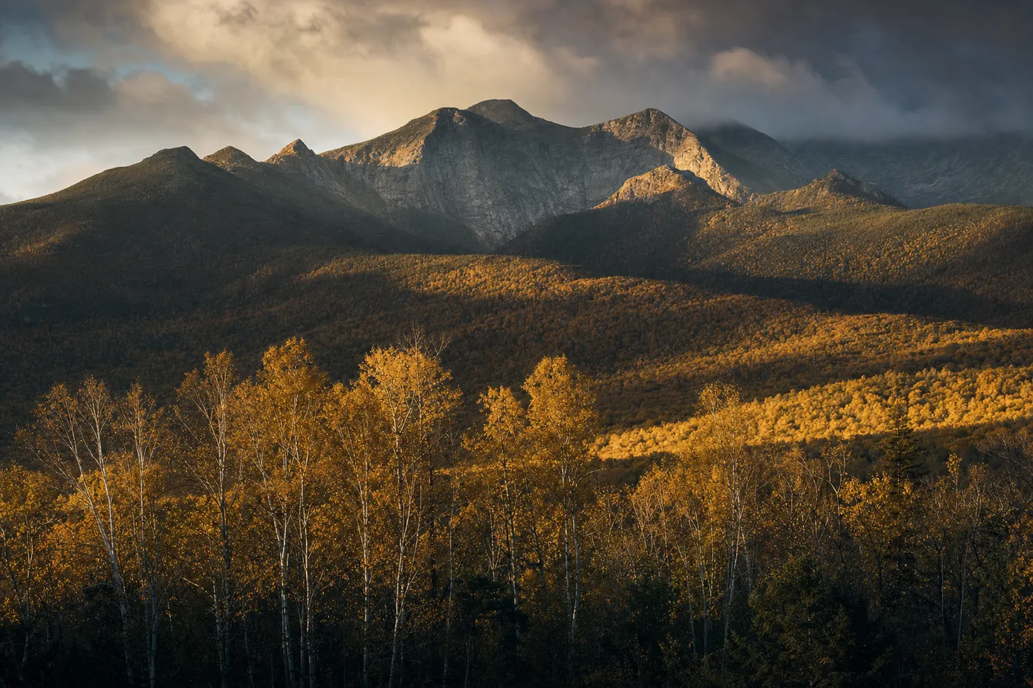 The granite peaks of the White Mountains of New Hampshire above birch turning gold.