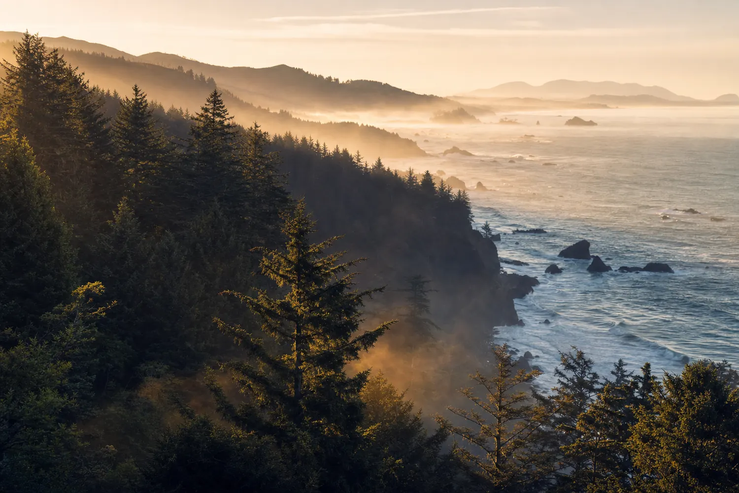 Pacific Northwest conifer forest in Oregon, mist between the firs, a rugged coastline beyond.