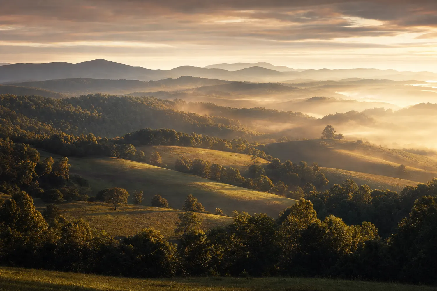 The Blue Ridge foothills of Virginia, rolling pasture and hardwoods in morning mist.