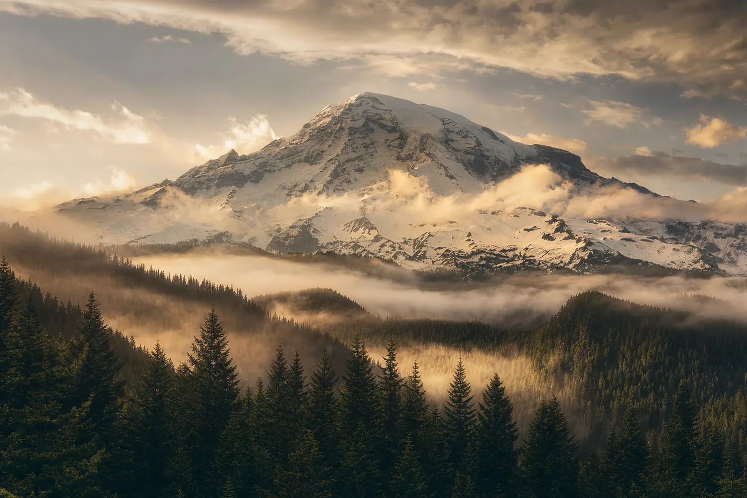 A glaciated Cascade volcano in Washington rising above dense evergreen forest and morning mist.