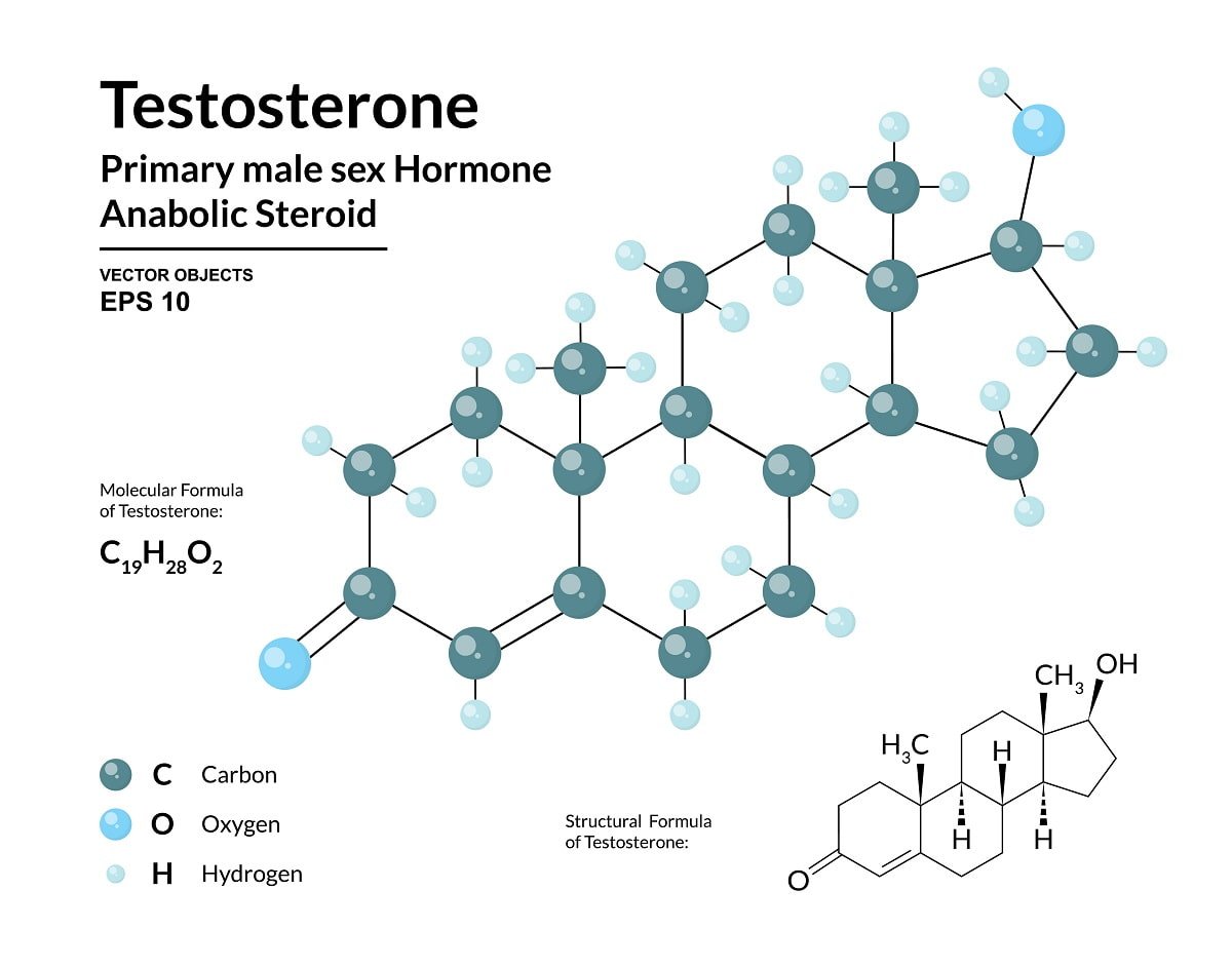 synthesis of testosterone male sex hormone formula
