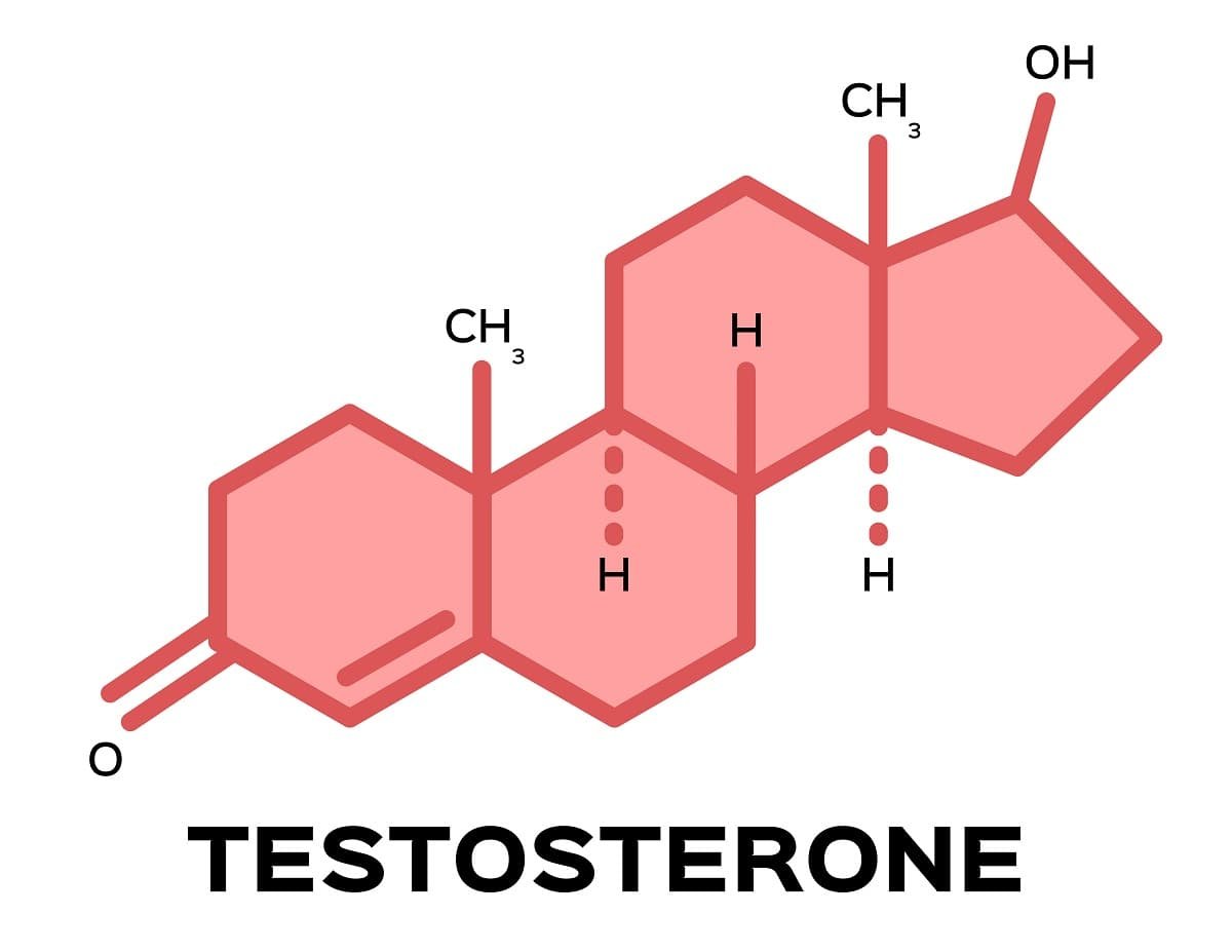 hypergonadism testosterone levels