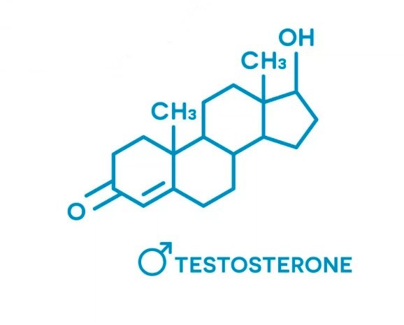 testosterone formula